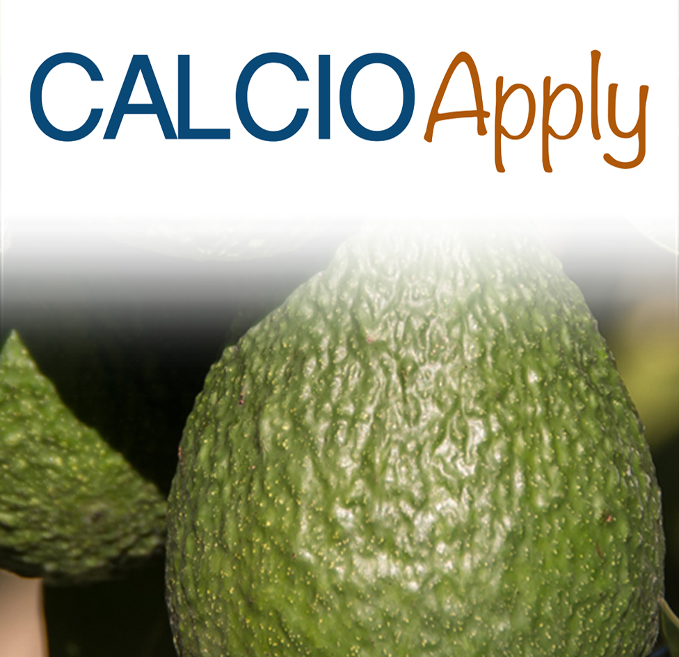 CALCIO-Apply COD: ECO - N001